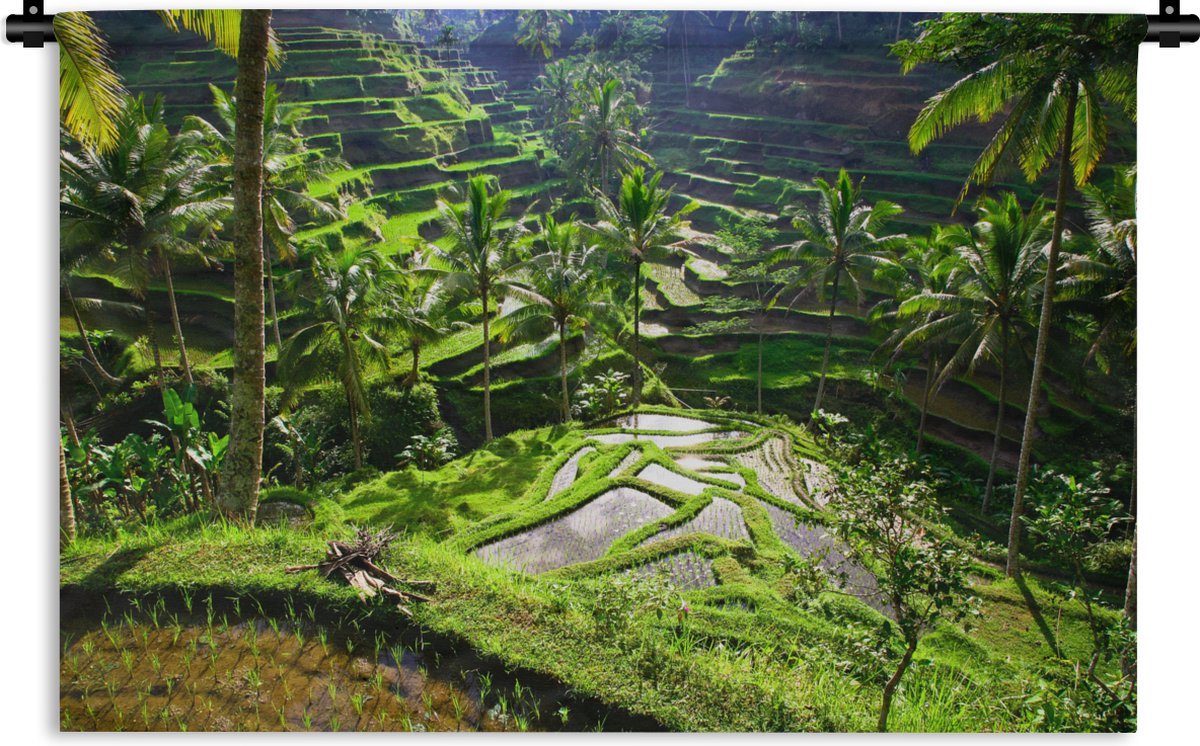 Wandkleed Rijstvelden - Spectaculaire rijstvelden ten noorden van Ubud Wandkleed katoen 180x120 cm - Wandtapijt met foto XXL / Groot formaat! - 1001Tapestries