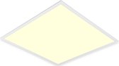 LED Paneel - Igory Clena - Dimbaar - 60x60 Warm Wit 3000K - 40W Inbouw Vierkant - Mat Wit - Flikkervrij