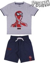 Kledingset Spiderman Grijs