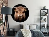 Luxe Behangcirkel zelfklevend portret Schotse hooglander kalf - bruin/zwart - Sticky Decoration - wooncirkel - decoratie - woonaccesoires - behangcirkel - diameter 130 cm