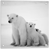 Tuinposter – Drie Knuffelende IJsberen  - 50x50cm Foto op Tuinposter  (wanddecoratie voor buiten en binnen)