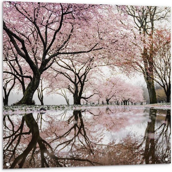 Tuinposter – Bos met Mooie Bomen met Roze Bloesem - 100x100cm Foto op Tuinposter  (wanddecoratie voor buiten en binnen)