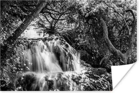 Image en noir et blanc du parc national de Krka en Croatie Poster