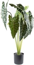 Boltze kunstplant in pot , Arrow Leaf, Indoor