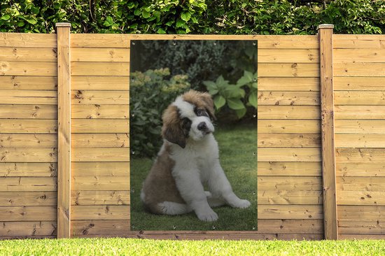 Affiche de jardin chiot Saint Bernard 3 mois toile en vrac 120x180 cm - Toile de jardin / Toile d'extérieur / Peintures d'extérieur (décoration de jardin) XXL / Groot format!