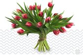 Verse bloemen boeket TULPEN (cadeau voor haar) - Rood / Wit - 30 per bos