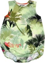 HEBE - romper - palm print - groen - Maat 62/68