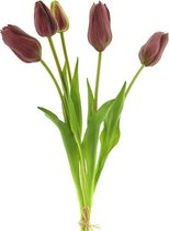 Arentzs tulip bundle sally 5 st. aubergine 49 cm kunstbloem Nova Nature