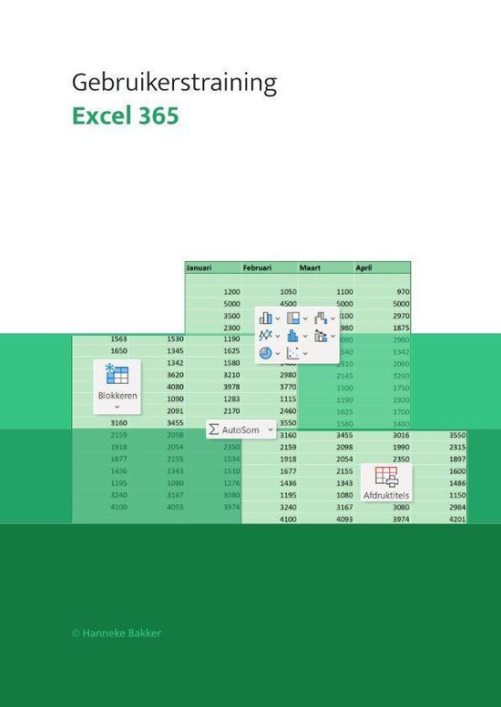 Excel 365 Gebruikerstraining