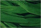 Raffia Folia 50gr. smaragd- - groen