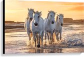Canvas  - Witte Andalusiër Paarden op het Strand   - 90x60cm Foto op Canvas Schilderij (Wanddecoratie op Canvas)