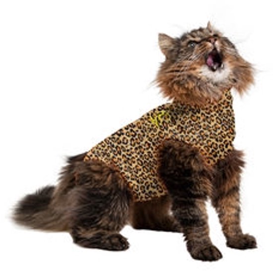 Medical Pet Shirt Kat Luipaard Print - XS