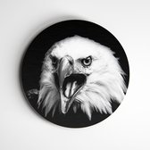 IDecorate - Schilderij - Roofvogel Exclusive Animals - Zwart En Wit - 40 X 40 Cm