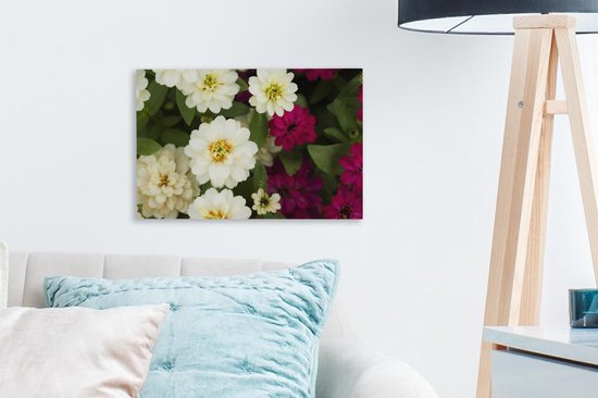Toile de fleurs de zinnia blanc et violet 30x20 cm - petit - Tirage photo sur toile (décoration murale salon / chambre)