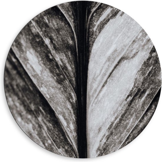 Dibond Wandcirkel - Nerven van Blad Zwart Wit - Foto op Aluminium Wandcirkel (met ophangsysteem)