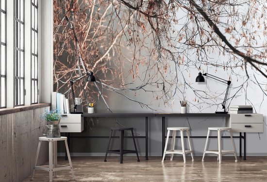 WALLARENA - Fotobehang - 300x210 cm - Betonnen takken grijs natuur voor slaapkamer en salon