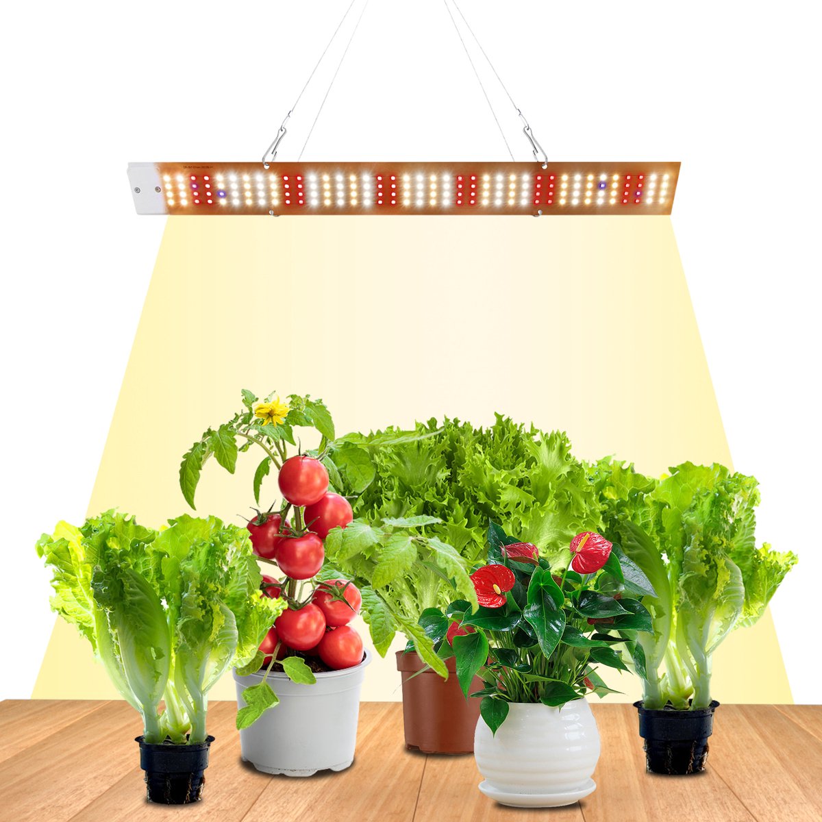 Rosnek LED Plantenlamp - 40W Krachtige LED Plantenlamp - 155LEDs - Volledig Spectrum Kweeklampen - Ultra Helder Full Spectrum voor Binnenplanten - Hoge Planten én Groentenbloei