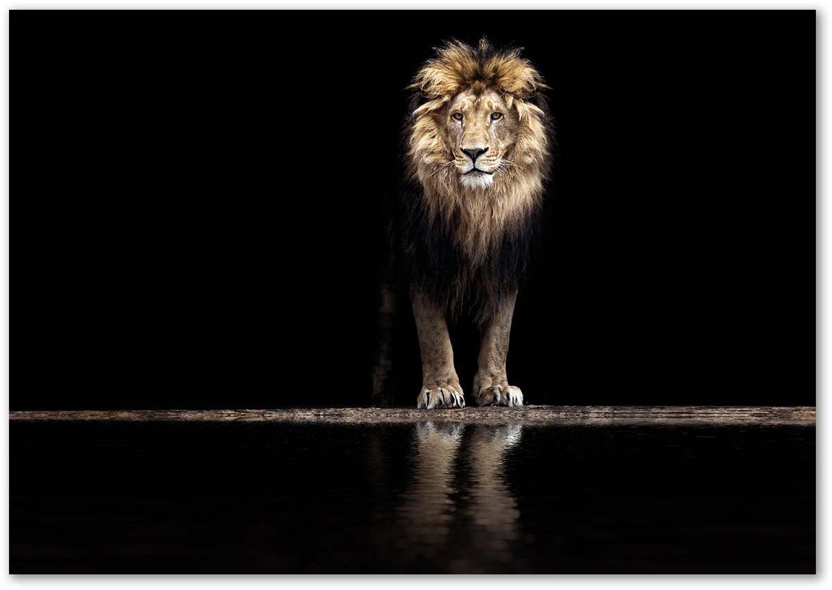 Tulup Glasschilderij - Glas Schilderij Portret Van Een Leeuw - 100 cm x 70 cm - Schwarz Foto In Glas - Foto Op Glas - Boheemse Glaskunst - Schilderij Op Glas - Glasdecoratie voor de Slaapkamer