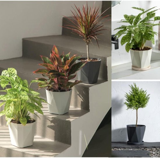SUSTANIA Set Van 3 Bloempotten – 28x28 Cm Vierkant – 16 Liter – Met Onderzetter – Made In Germany – Antraciet