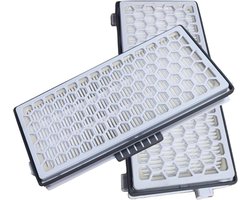 Geschikt voor Filter voor stofzuigers, compatibel met Miele stofzuigers C2 C3 S4 S5 S6 S8 serie SF-HA 50/SF-AA 50 H13 AirClean-filter (2 stuks)