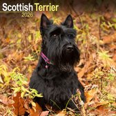 Cairn Terrier Kalender 2026 Kopen? Eenvoudig en snel besteld
