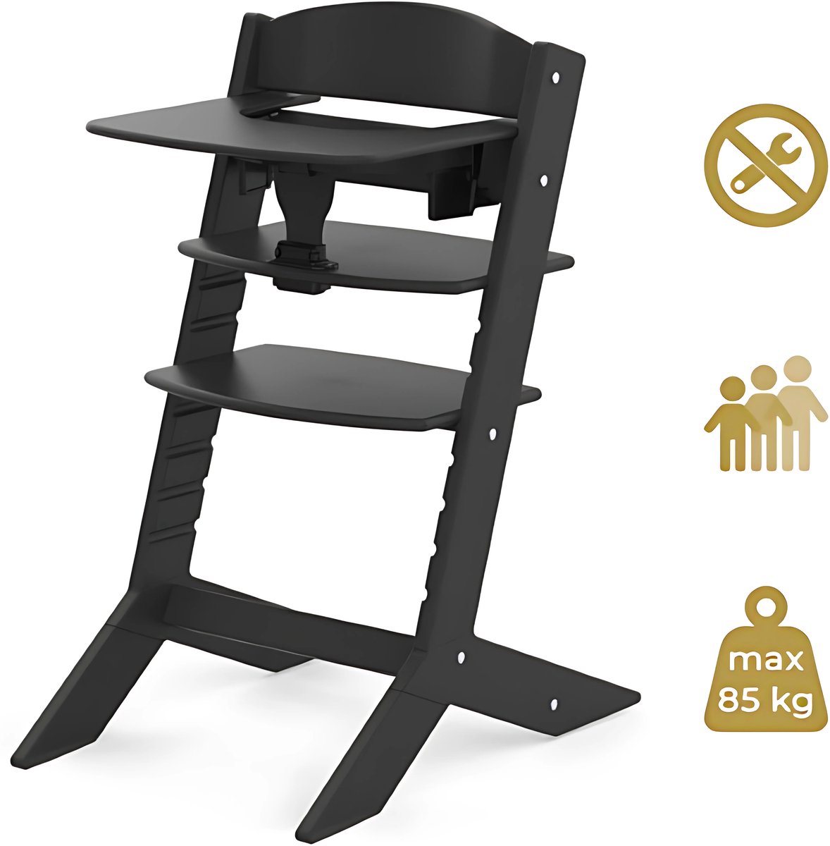 Geuther Houten Kinderstoel - Syt - Meegroeistoel voor kinderen van 6-36 maanden - inclusief eetblad - 5-punts veiligheidsgordel - 61x49x83cm - Zwart