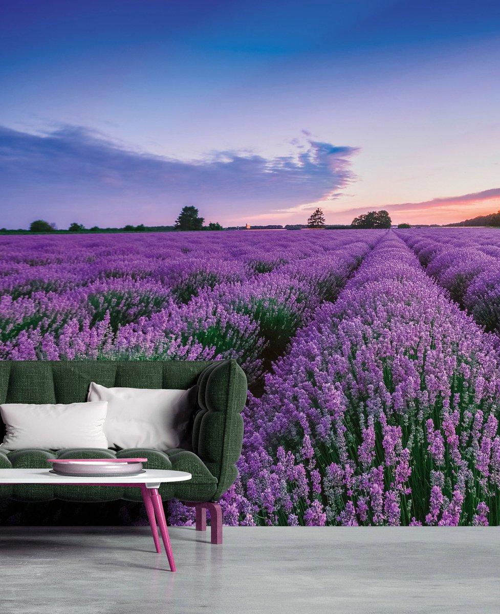 Fotobehang lavendelveld in blauw groen