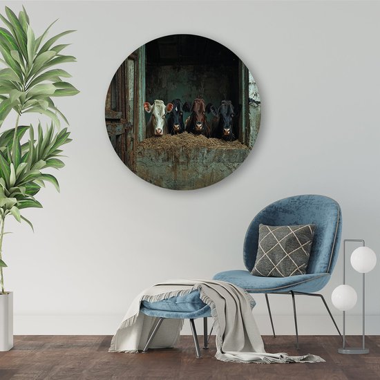 Vier nieuwsgierige koeien in stal - Koeien muurcirkels - Wandpaneel dieren - Realistische kunst - Unieke Forex muurcirkels - Woonkamer wandkunst - muurcirkel forex 80x80 cm
