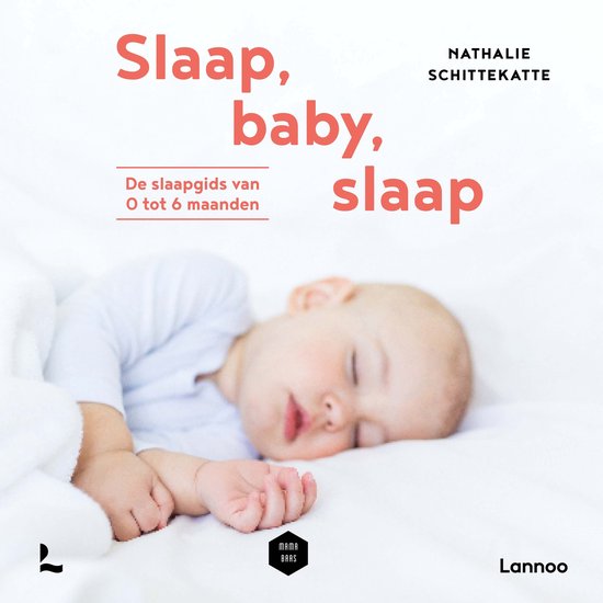 Slaap baby slaap - cover