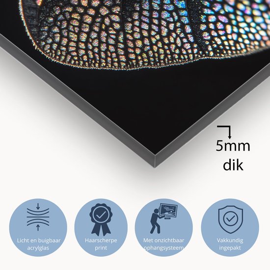 Iriserende libellevleugels macrofoto - Insect schilderij op glas - Wanddecoratie glas vleugels - Hyperrealisme - Plexiglas schilderijen - Kunst aan de muur - acrylglas 60x40 cm