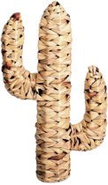 "NATURAL LIVING" CACTUS VAN WATERHYACINT 45X25XD9CM
