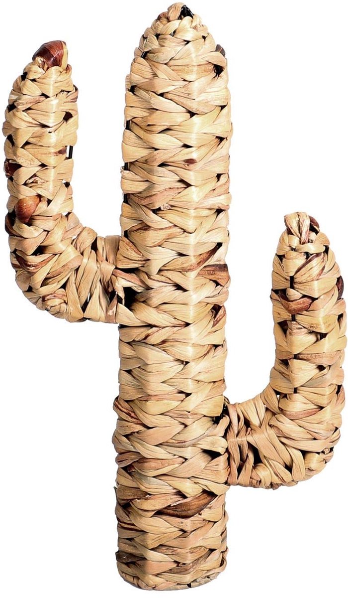 Urban Living "NATURAL LIVING" CACTUS VAN WATERHYACINT 45X25XD9CM Natuurlijke kleur