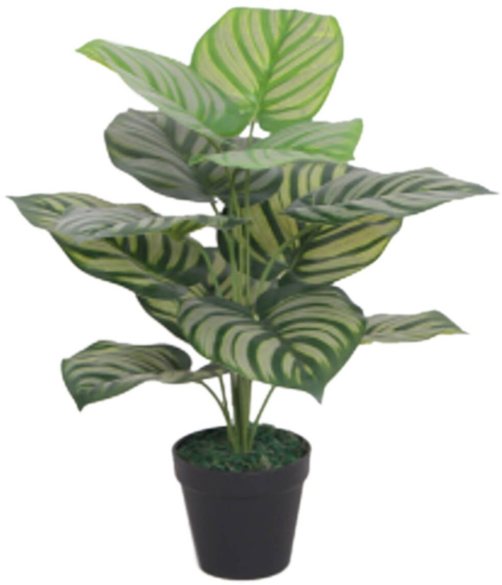 Kunstbladplant, 60 cm, gestreept, groen