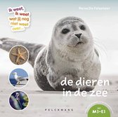 Een zeehondje ligt op het strand, met in kleine cirkels een zeester, meeuw en zeepaardje. Titel: de dieren in de zee.