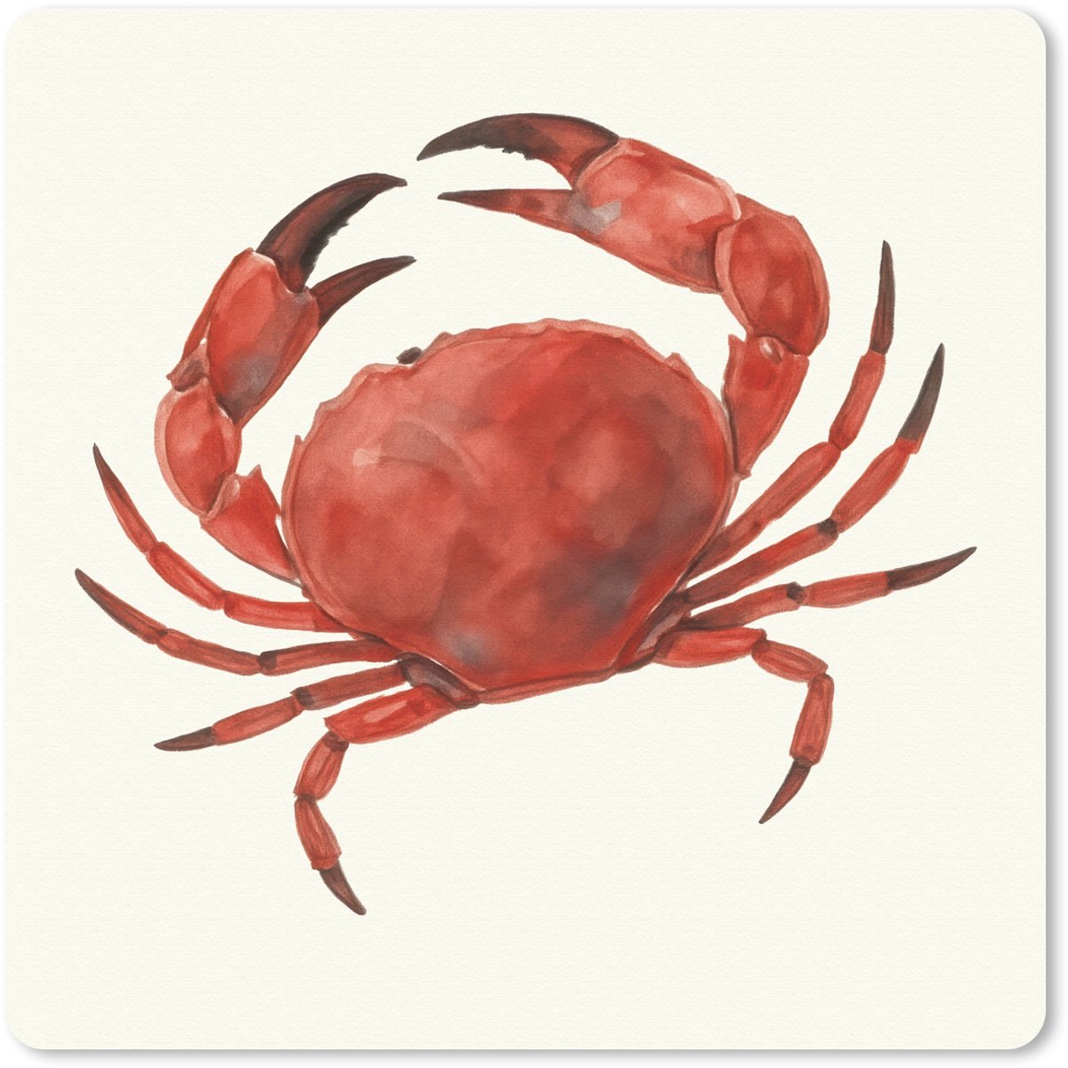 Muismat 30x30 cm - Mousepad Krab - Felrood - Poten - Muismatten