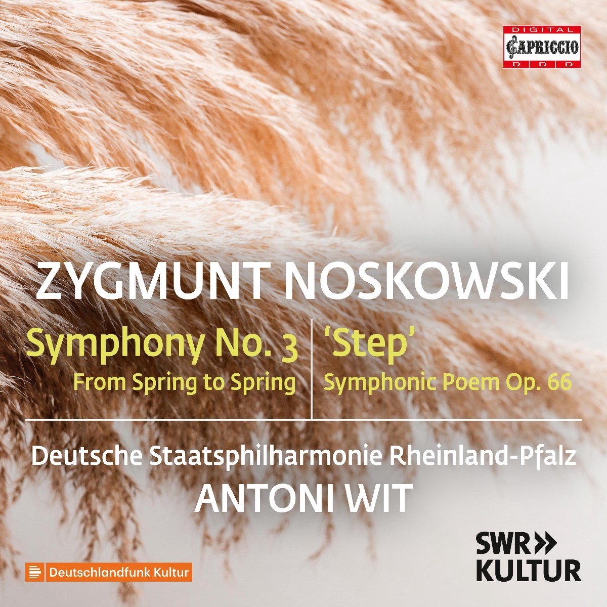 Deutsche Staatsphilharmonie Rheinland-Pfalz, Antoni Wit - Noskowski: Symphony No. 3 (CD)