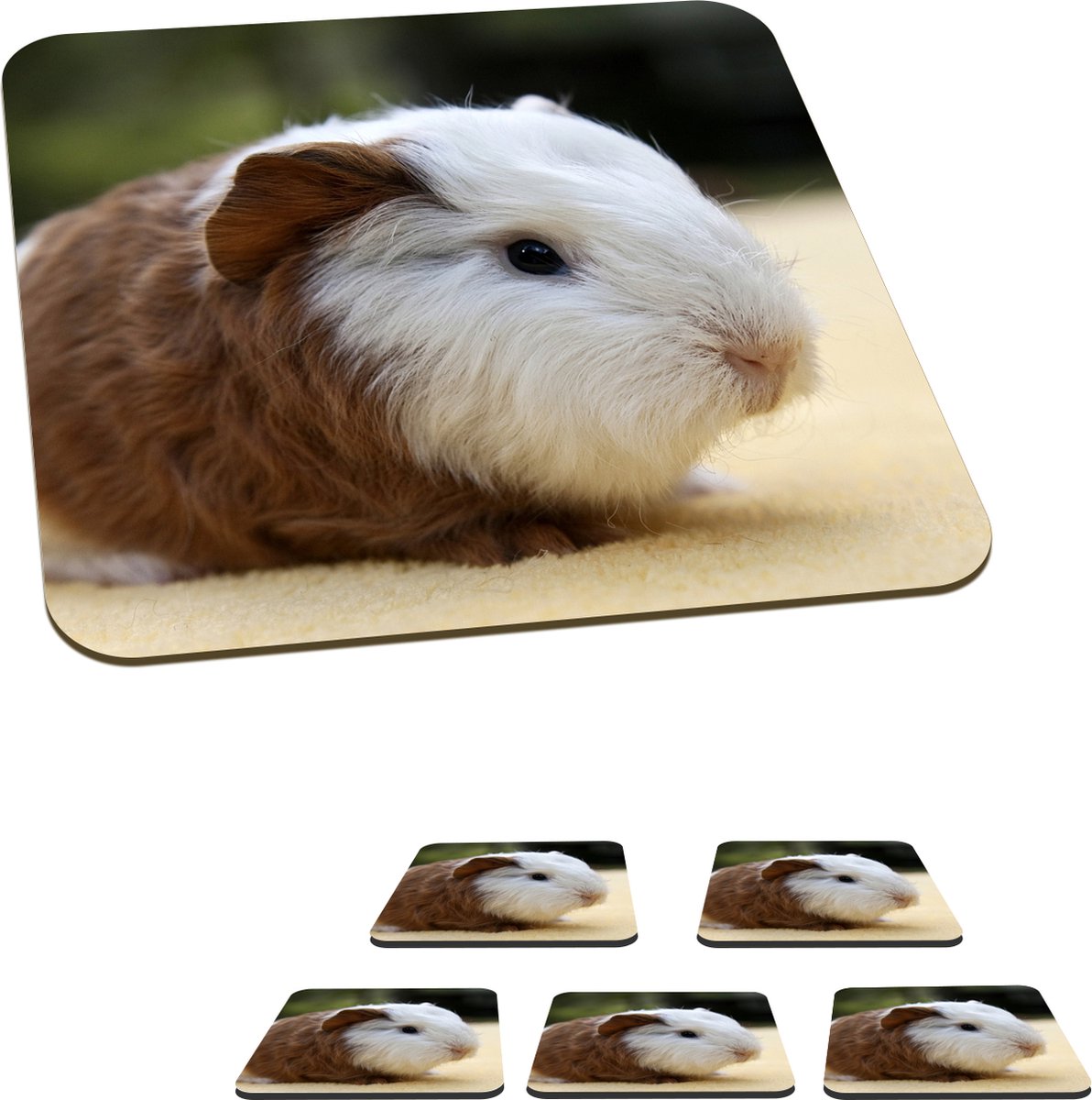 Onderzetters voor glazen - Jonge cavia - 10x10 cm - Glasonderzetters - 6 stuks