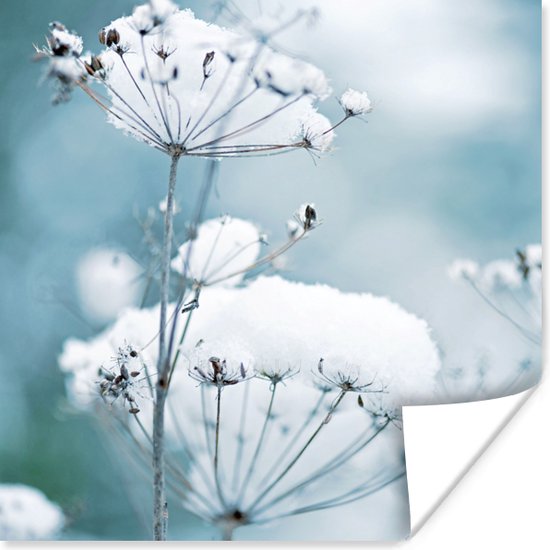 Poster Sneeuw - Bloemen - Winter - Seizoenen - Takken - 30x30 cm
