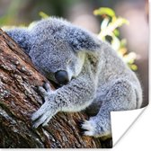 Poster Koala - Boomstam - Knuffel - Kids - Jongens - Meiden - 50x50 cm