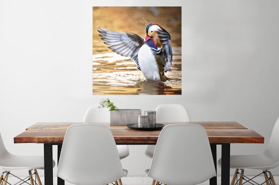 Affiche Canard - Animal - Water - Automne - 75x75 cm