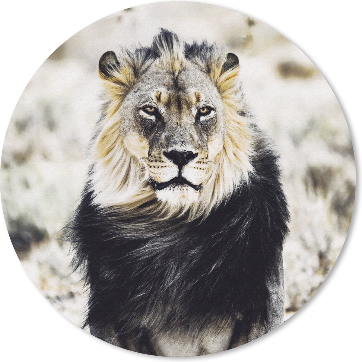 Muismat rond 20x20 cm - Mousepad Wilde dieren - Leeuw - Zwart - Ronde muismatten