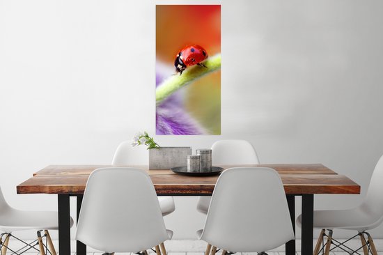 Affiche Coccinelle sur une fleur violette - 40x80 cm