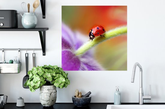 Affiche Coccinelle sur une fleur violette - 50x50 cm