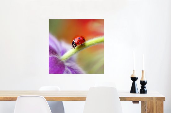 Affiche Coccinelle sur une fleur violette - 50x50 cm