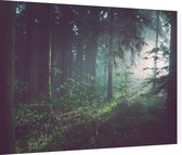 Lichtstralen door het bos bij dauw - Foto op Dibond - 80 x 60 cm