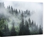 Misty Forest - Foto op Dibond - 40 x 30 cm