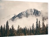 Misty Mountain Forest Sepia - Foto op Dibond - 60 x 40 cm