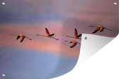 Tuinposter - Tuindoek - Tuinposters buiten - Flamingo's vliegen in de lucht - 120x80 cm - Tuin
