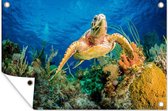 Tuinposter - Tuindoek - Tuinposters buiten - Een schildpad zwemt over een koraalrif heen - 120x80 cm - Tuin