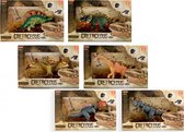 verassingspakket Cretaceous jongens 23-26 cm
